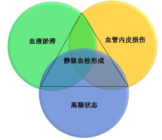 沉默杀手 VTE，如何进行抗凝治疗？三问搞懂