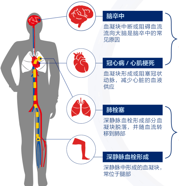 “小栓子”大危害