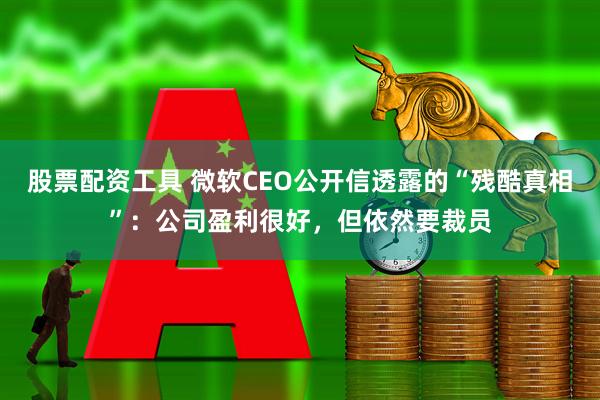 股票配资工具 微软CEO公开信透露的“残酷真相”：公司盈利很好，但依然要裁员