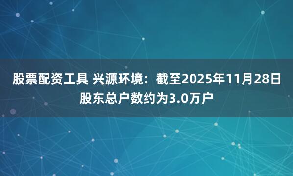 股票配资工具 兴源环境：截至2025年11月28日股东总户数约为3.0万户