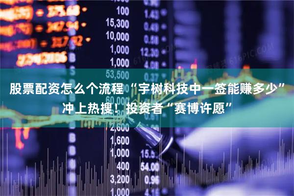股票配资怎么个流程 “宇树科技中一签能赚多少”冲上热搜！投资者“赛博许愿”